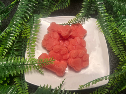 Watermelon Popsicles