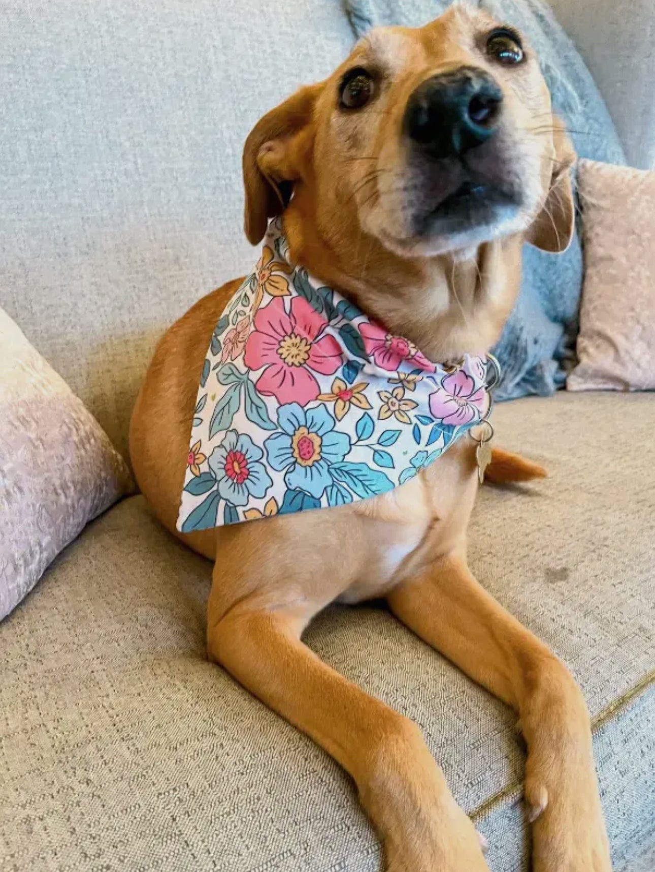 Wildflower Dog Bandana