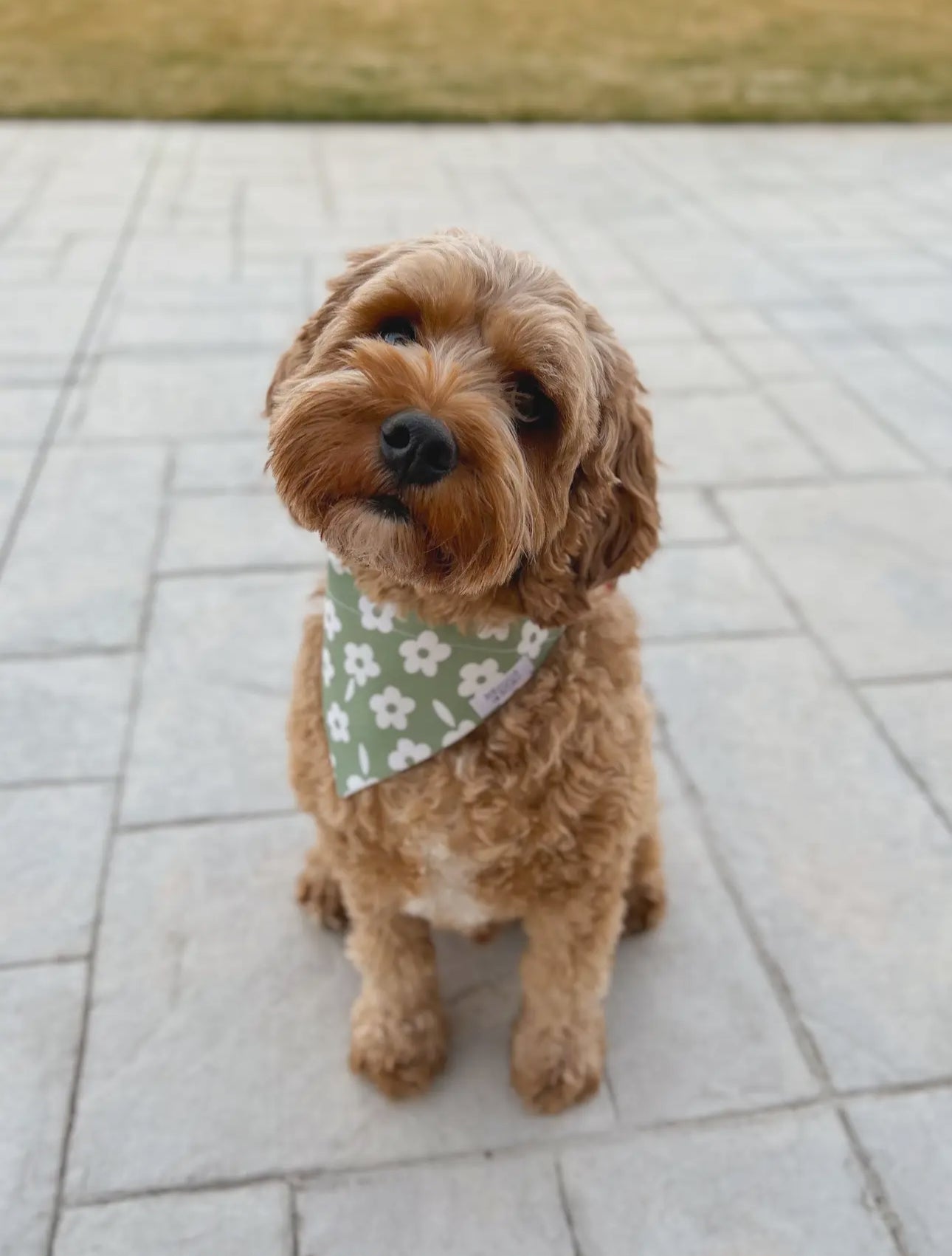 Olive Floral Dog Bandana