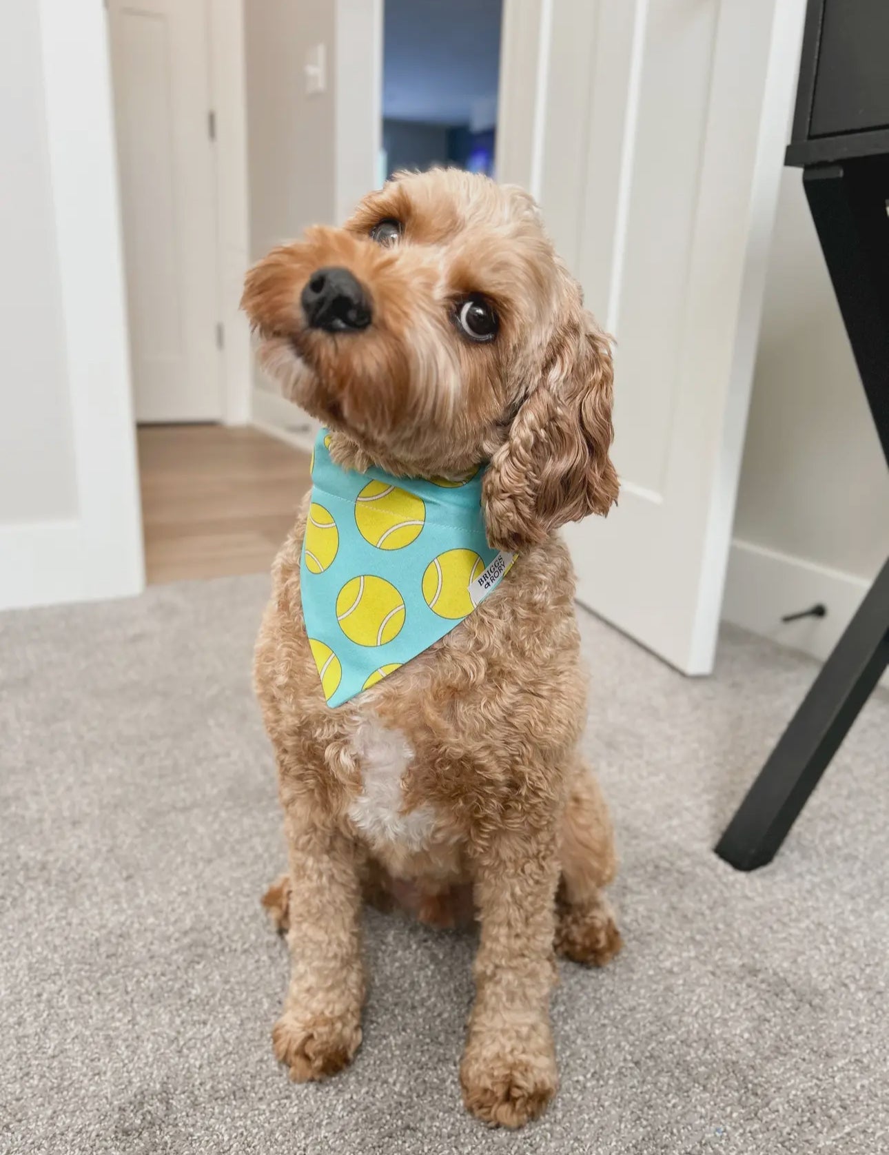 Tennis Ball Dog Bandana