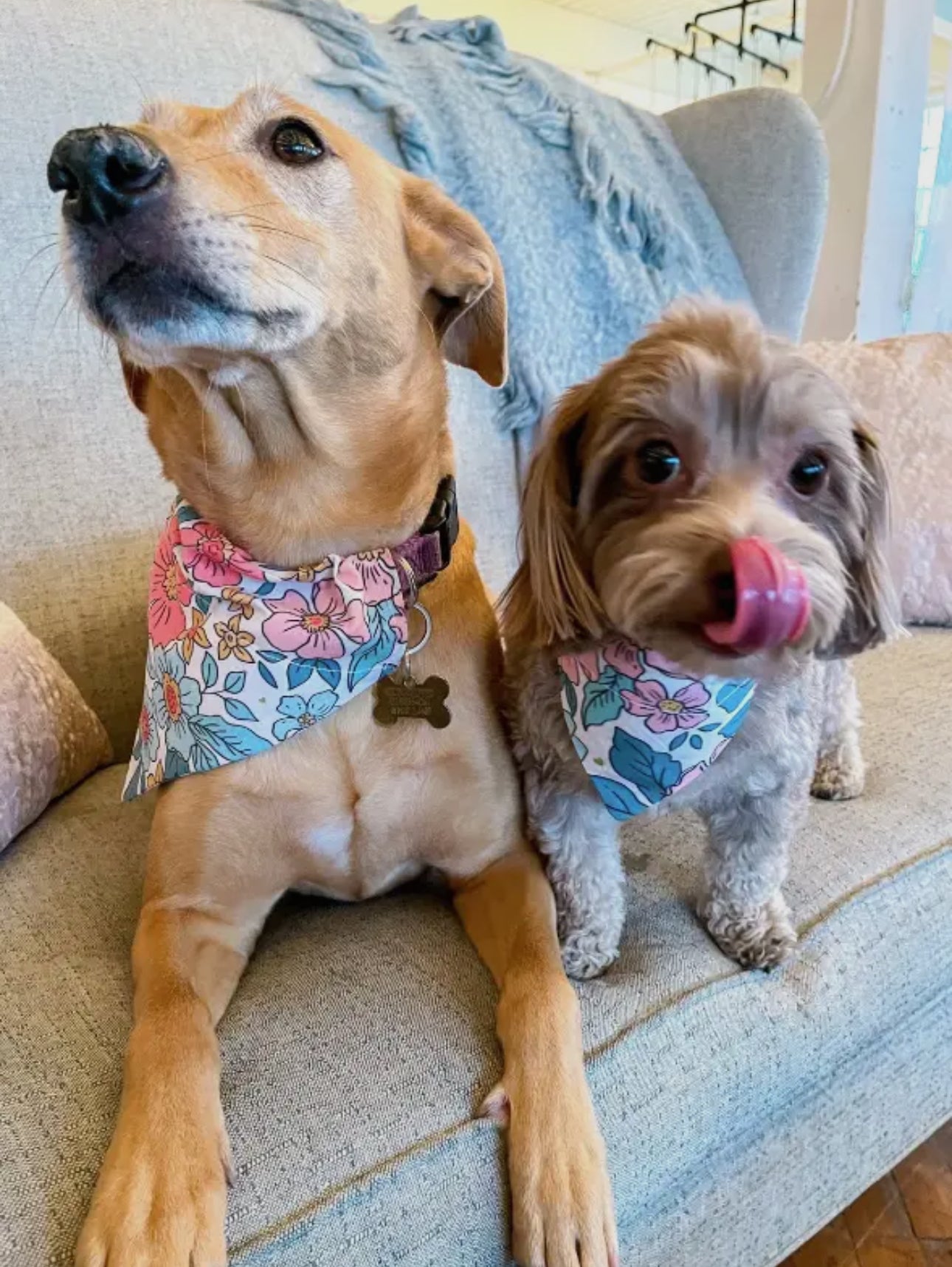 Wildflower Dog Bandana