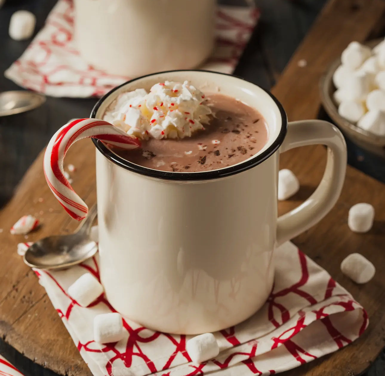 Peppermint Hot Cocoa Mix Shot